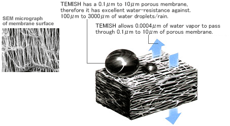 TEMISH,汽车车灯，ECU防水透气材料
